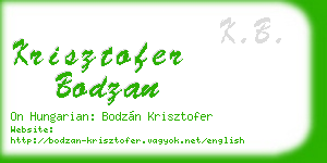 krisztofer bodzan business card